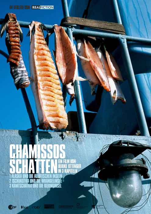 Plakat zum Film: Chamissos Schatten