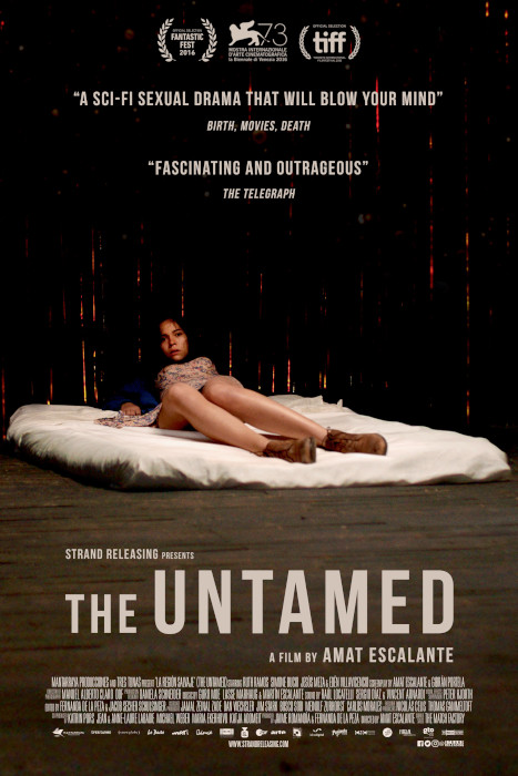 Plakat zum Film: Untamed, The
