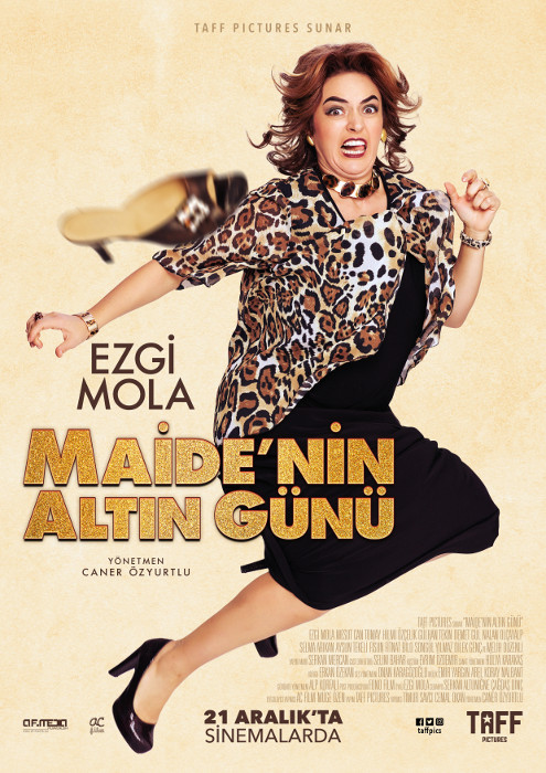 Plakat zum Film: Maide'nin Altin Günü