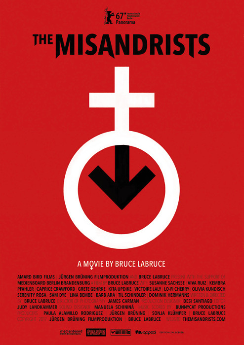 Plakat zum Film: Misandristinnen, Die