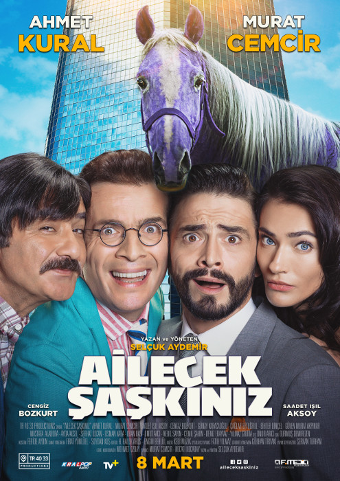 Plakat zum Film: Ailecek Saskiniz