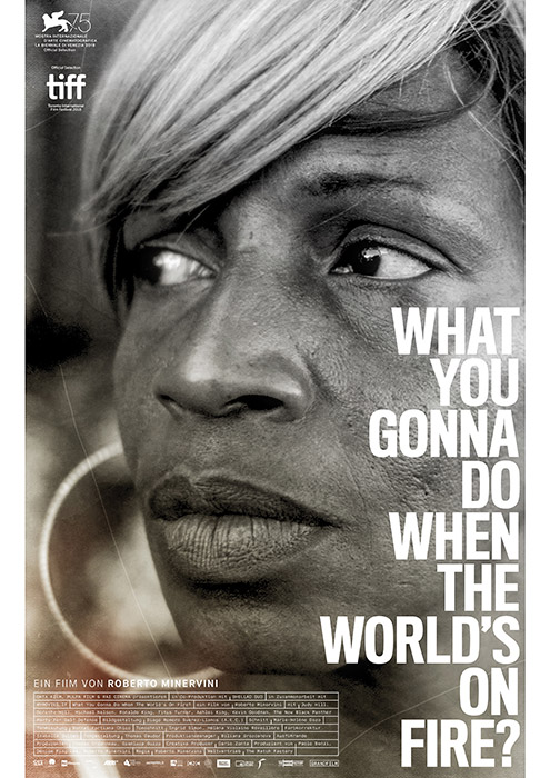 Plakat zum Film: What You Gonna Do When the World's on Fire?