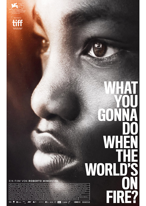 Plakat zum Film: What You Gonna Do When the World's on Fire?