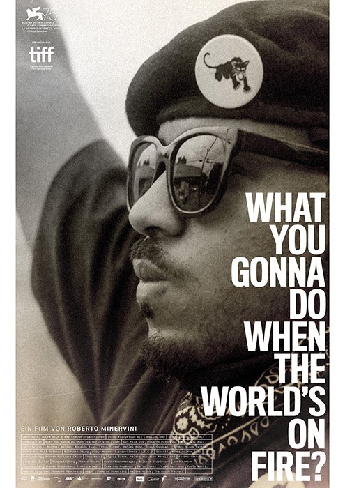 Plakat zum Film: What You Gonna Do When the World's on Fire?