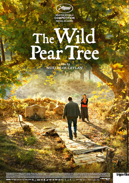 Plakat zum Film: Wild Pear Tree, The