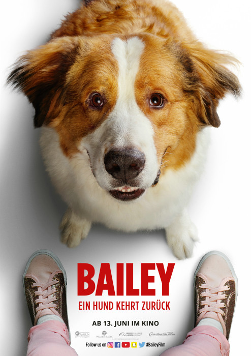 Plakat zum Film: Bailey - Ein Hund kehrt zurück