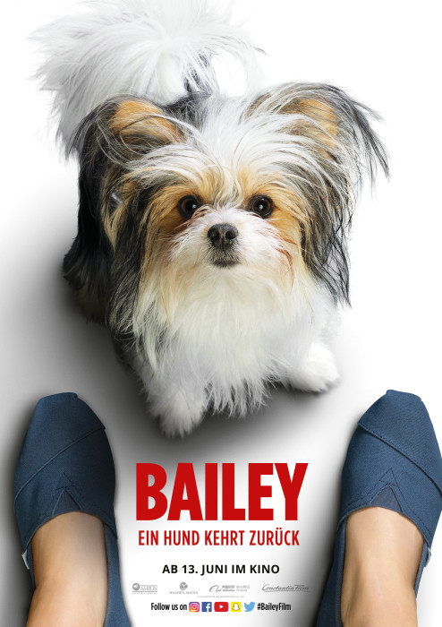 Plakat zum Film: Bailey - Ein Hund kehrt zurück