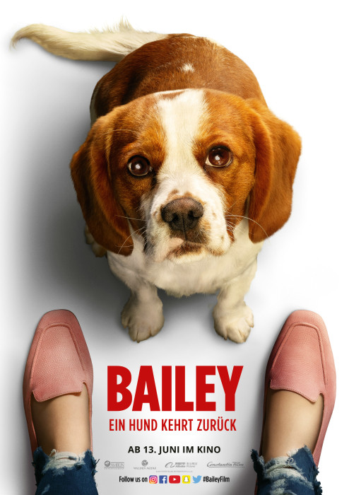 Plakat zum Film: Bailey - Ein Hund kehrt zurück