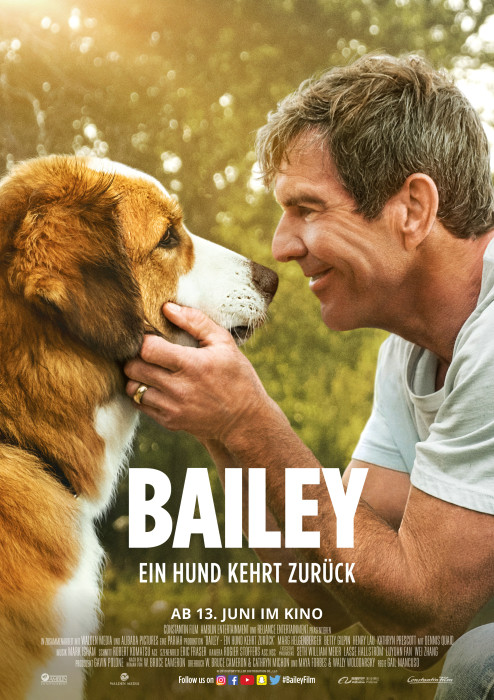 Plakat zum Film: Bailey - Ein Hund kehrt zurück