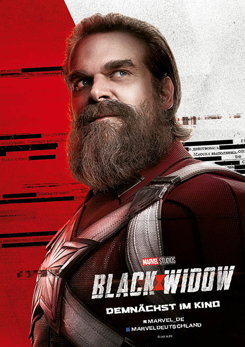 Plakat zum Film: Black Widow