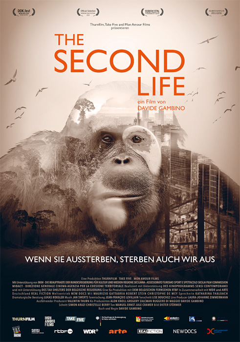Plakat zum Film: Second Life, The