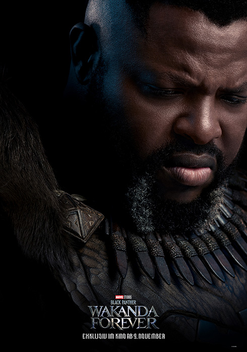 Plakat zum Film: Black Panther: Wakanda Forever