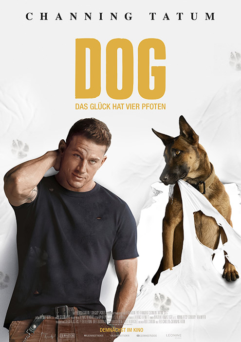 Plakat zum Film: Dog