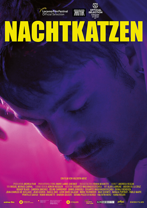 Plakat zum Film: Nachtkatzen