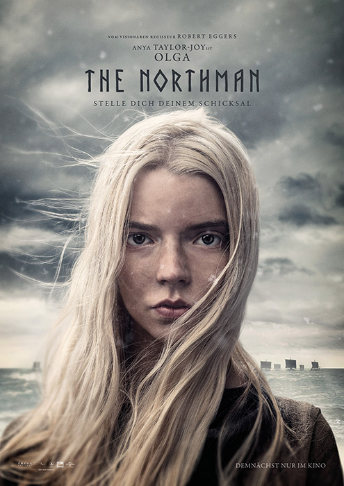 Plakat zum Film: Northman, The