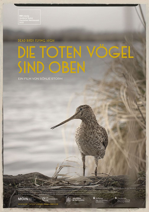 Plakat zum Film: toten Vögel sind oben, Die