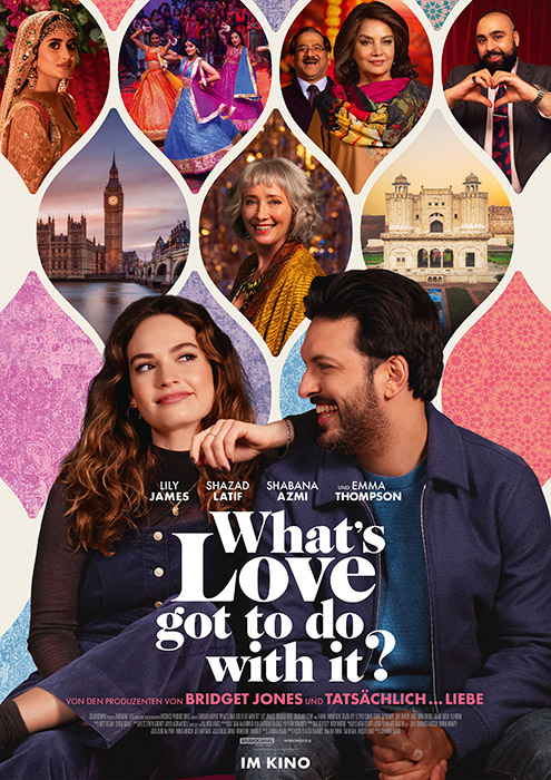 Plakat zum Film: What's Love Got to Do with It?