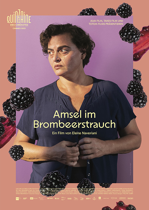 Plakat zum Film: Amsel im Brombeerstrauch