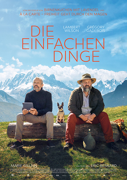 Plakat zum Film: einfachen Dinge, Die