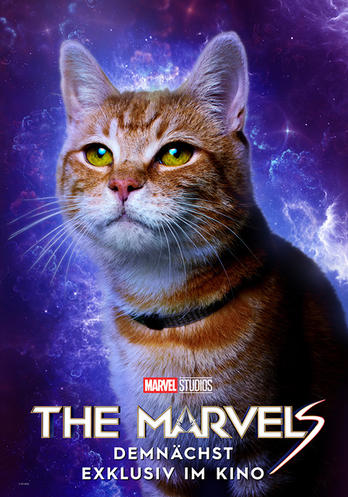 Plakat zum Film: Marvels, The