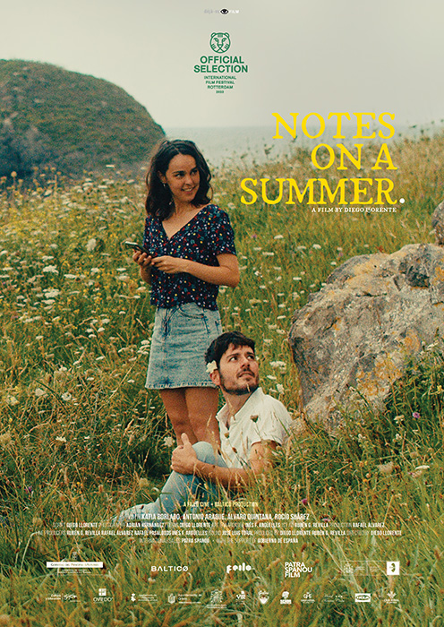 Plakat zum Film: Notes on a Summer