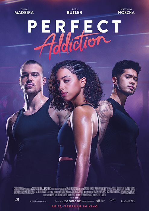 Plakat zum Film: Perfect Addiction