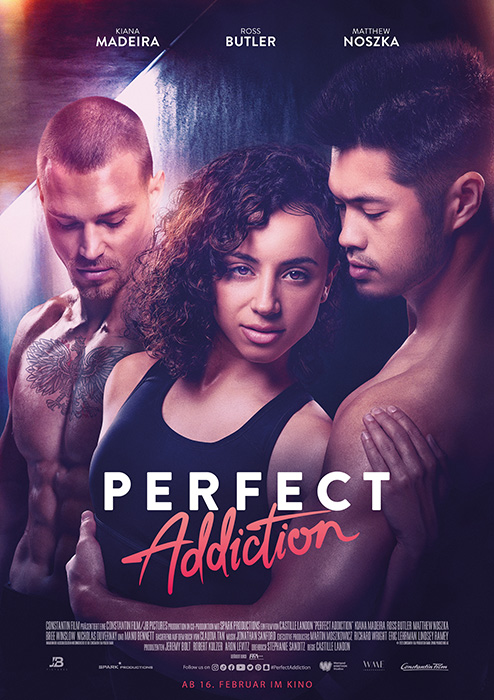Plakat zum Film: Perfect Addiction