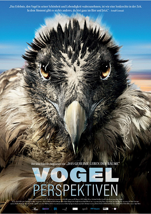 Plakat zum Film: Vogelperspektiven