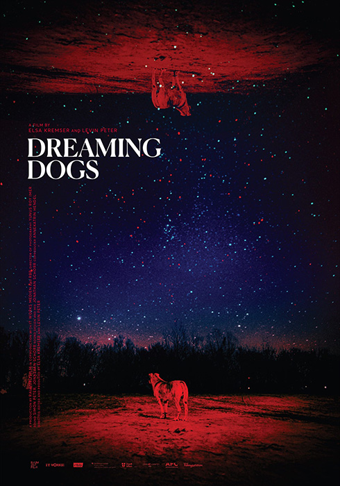 Plakat zum Film: Dreaming Dogs