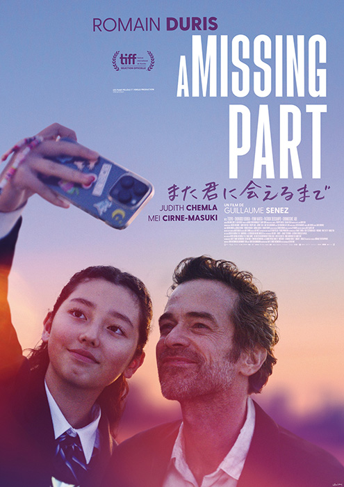 Plakat zum Film: Missing Part, A