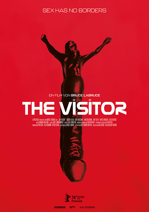 Plakat zum Film: Visitor, The