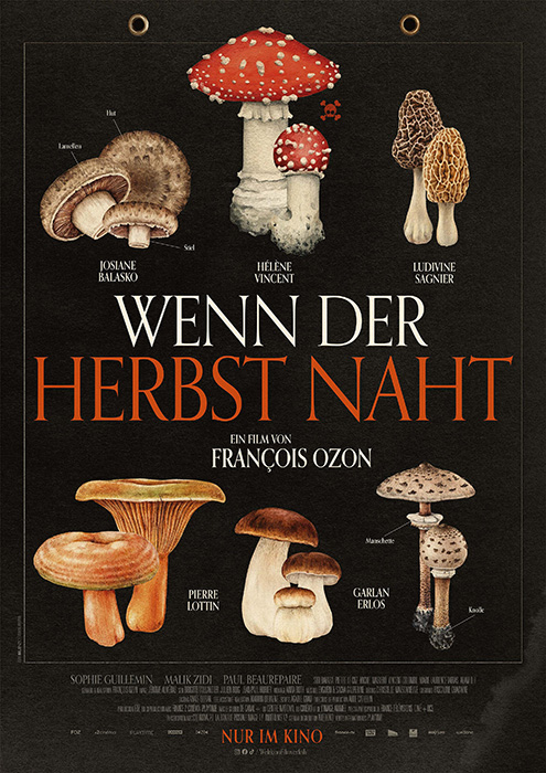 Plakat zum Film: Wenn der Herbst naht
