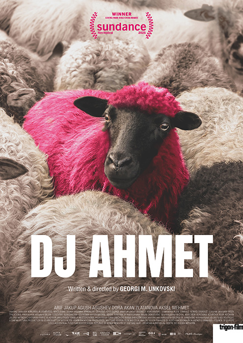 Plakat zum Film: DJ Ahmet