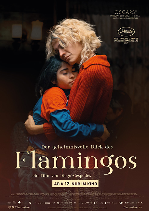 Plakat zum Film: geheimnisvolle Blick des Flamingos, Der