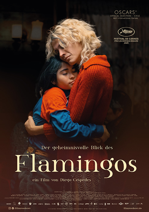 Plakat zum Film: geheimnisvolle Blick des Flamingos, Der