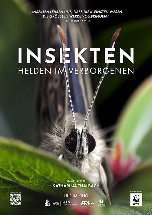 Plakat zum Film: Insekten - Helden im Verborgenen