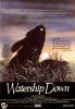 Watership Down