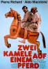 Zwei Kamele auf einem Pferd