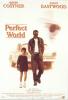 Perfect World