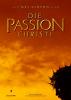 Filmplakat Passion Christi, Die