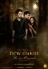 Filmplakat New Moon - Biss zur Mittagsstunde