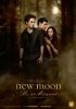 Filmplakat New Moon - Biss zur Mittagsstunde