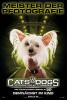 Cats & Dogs - Die Rache der Kitty Kahlohr