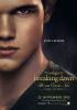 Filmplakat Breaking Dawn - Bis(s) zum Ende der Nacht - Teil 2