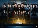 Breaking Dawn - Bis(s) zum Ende der Nacht - Teil 2