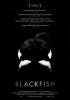 Filmplakat Blackfish