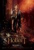 Filmplakat Hobbit - Smaugs Einöde, Der