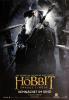 Filmplakat Hobbit - Smaugs Einöde, Der