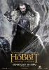 Filmplakat Hobbit - Smaugs Einöde, Der