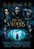 Filmplakat Into the Woods